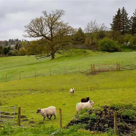 Jane's בית נופש *