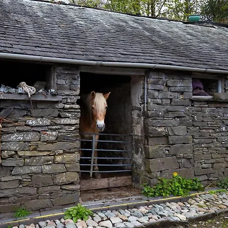 Jane's בית נופש