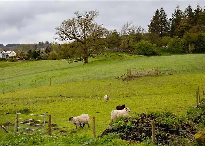 Jane's Дом отдыха *