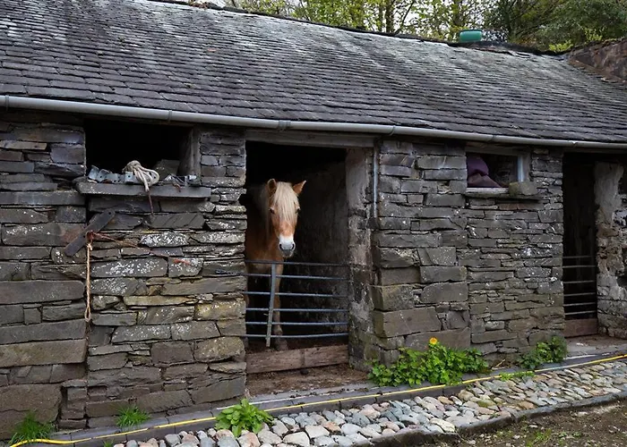 Jane's Дом отдыха